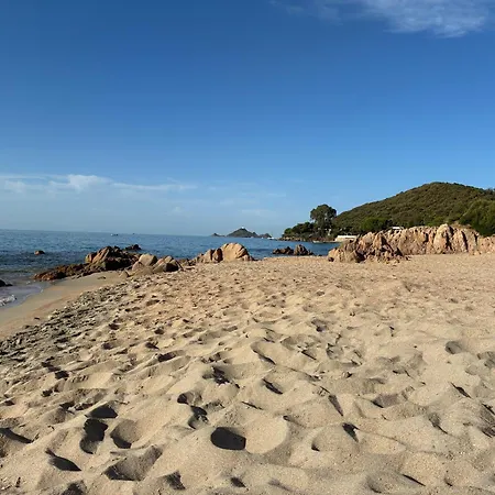 Daire Cocon Chaleureux Bord De Vue Sanguinaire Ajaccio (Corsica)