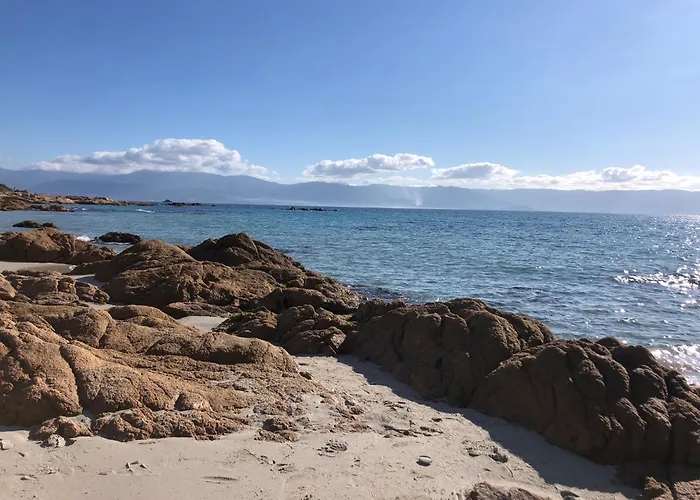 Daire Cocon Chaleureux Bord De Vue Sanguinaire