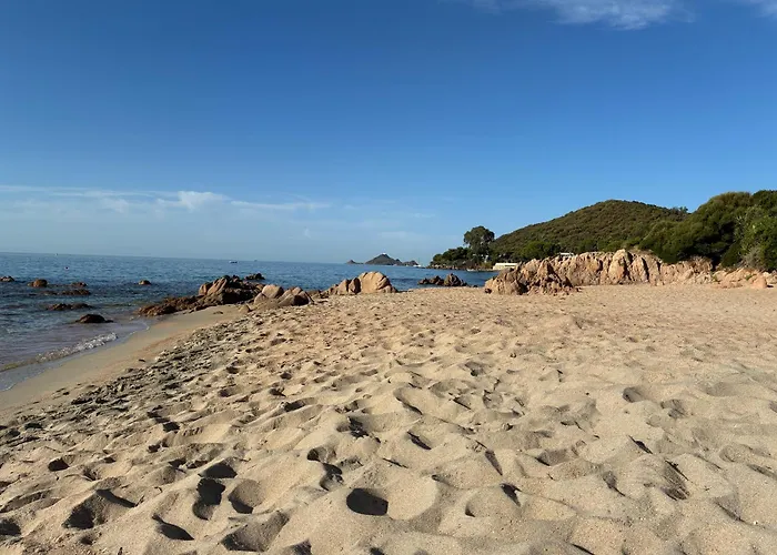 Daire Cocon Chaleureux Bord De Vue Sanguinaire Ajaccio (Corsica)