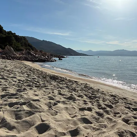 Cocon Chaleureux Vue Magnifique * Ajaccio (Corsica)