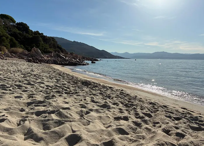 Cocon Chaleureux Bord De Vue Sanguinaire * Ajaccio (Corsica)